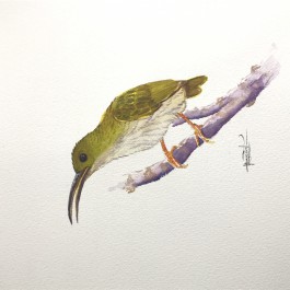 V82 - Giá: Mô tả:
